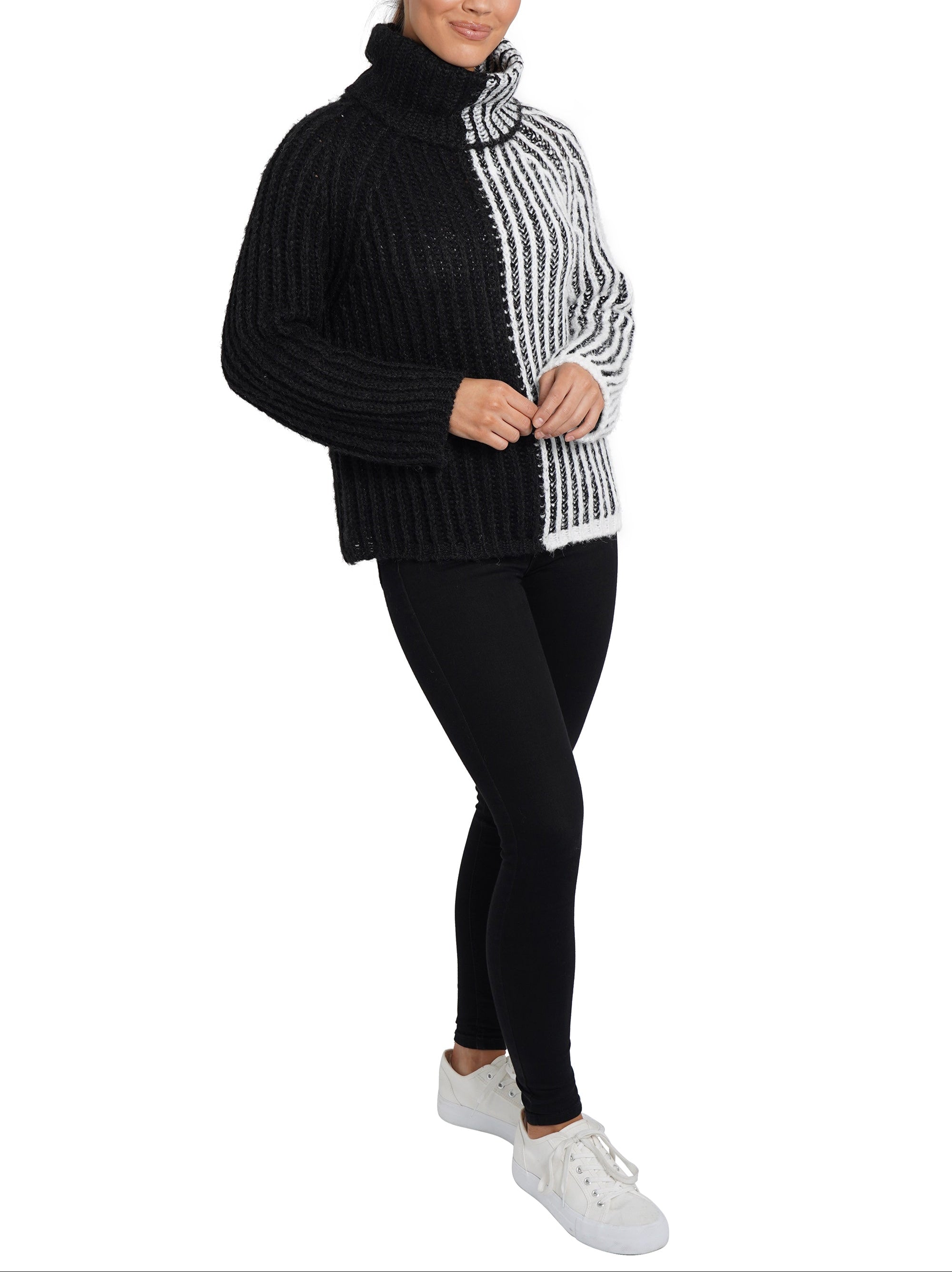 Aubrie Turtleneck Sweater