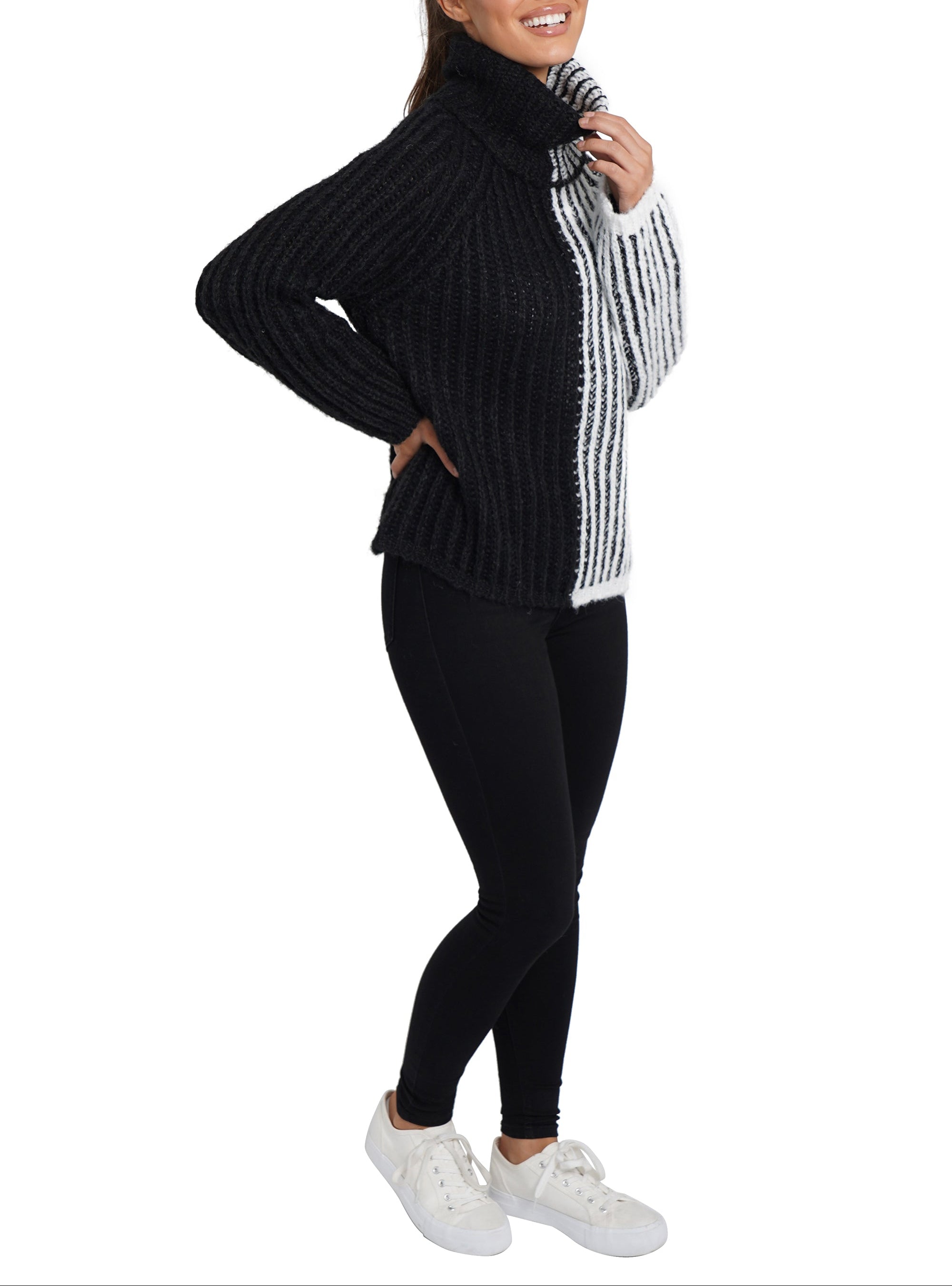 Aubrie Turtleneck Sweater