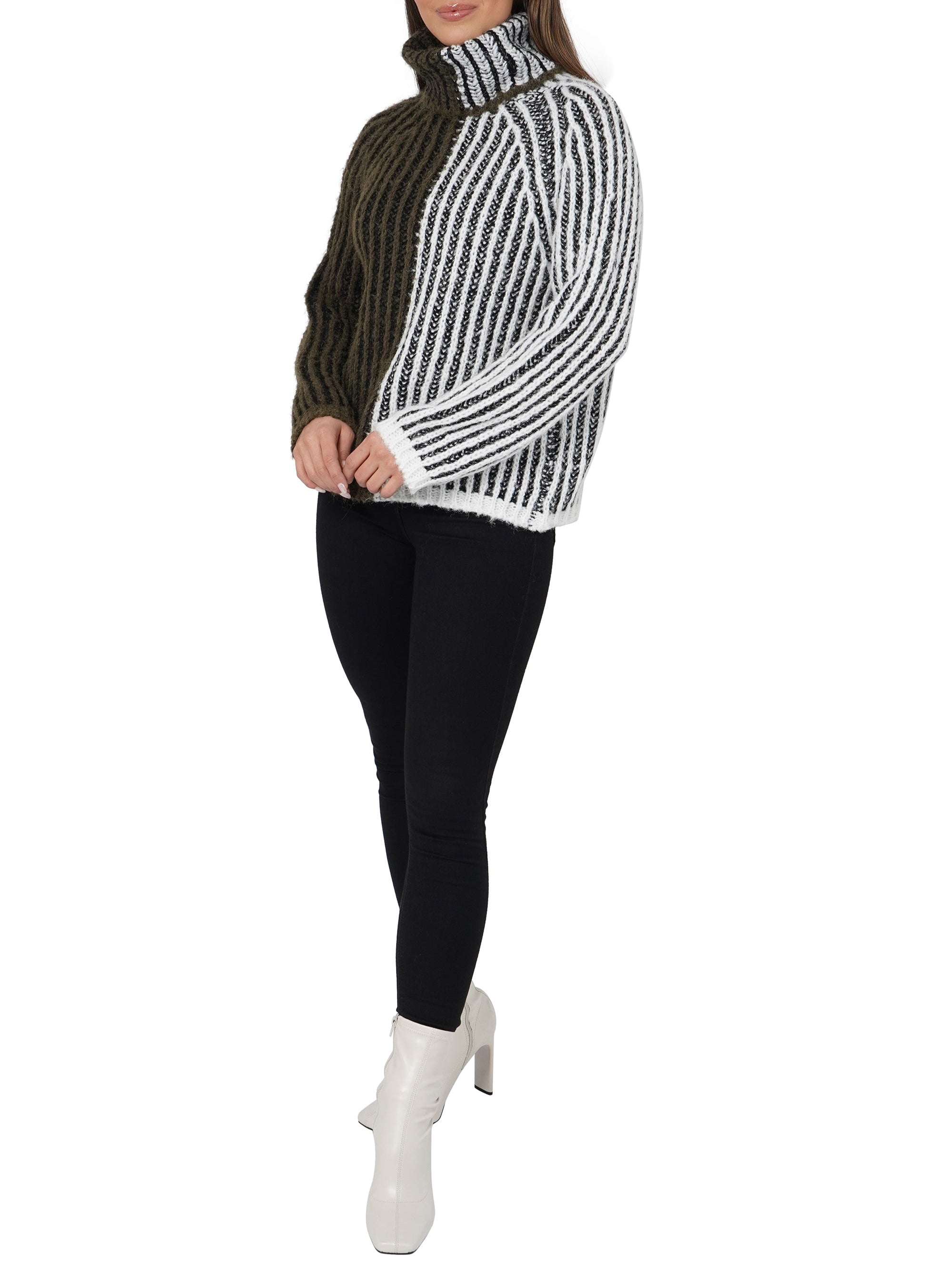 Aubrie Turtleneck Sweater