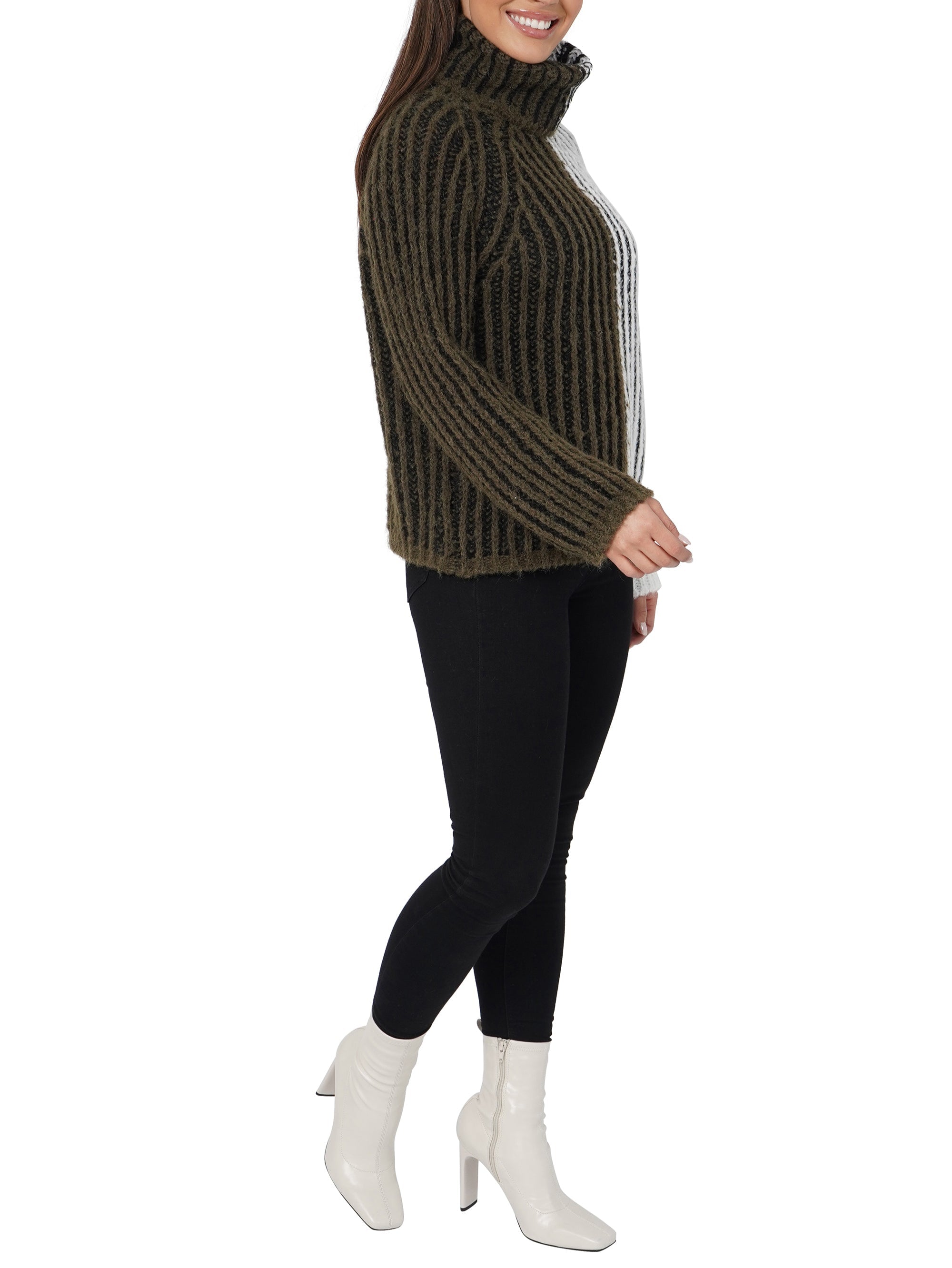 Aubrie Turtleneck Sweater